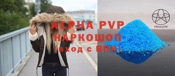 хмурый Новозыбков