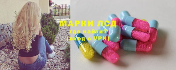 соль ск Новодвинск