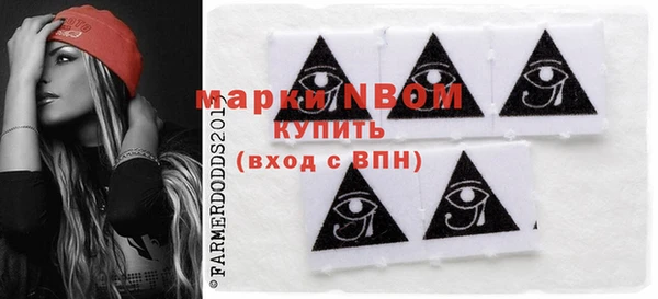 хмурый Новозыбков