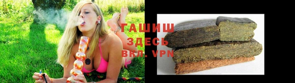 хмурый Новозыбков