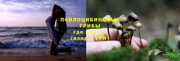 хмурый Новозыбков