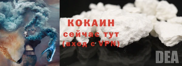 соль ск Новодвинск