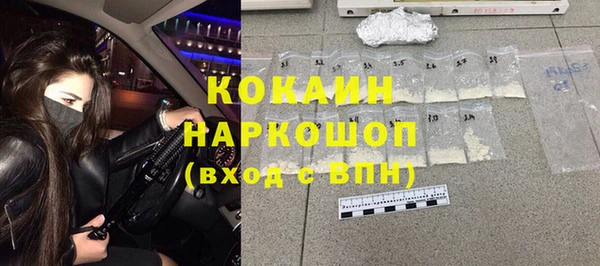хмурый Новозыбков