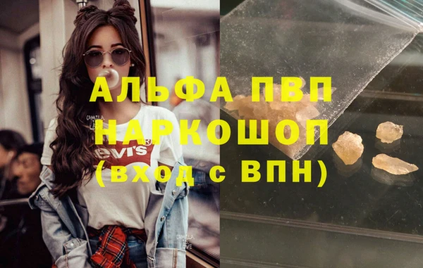соль ск Новодвинск