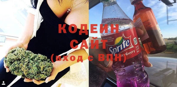 хмурый Новозыбков