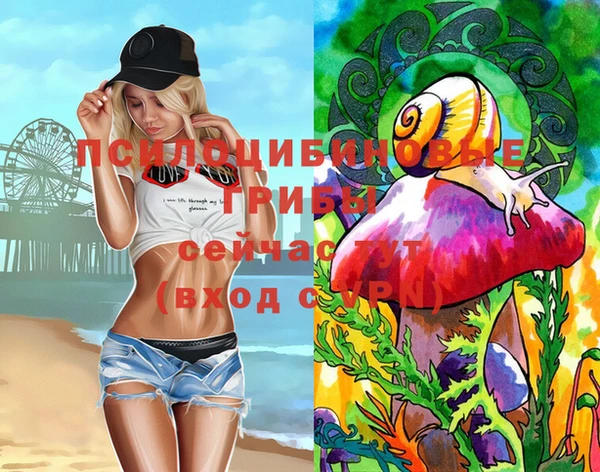 хмурый Новозыбков
