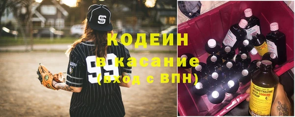 хмурый Новозыбков