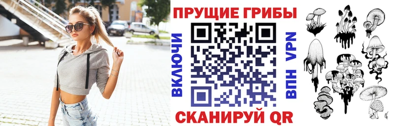Псилоцибиновые грибы Psilocybe  OMG онион  Шахунья 